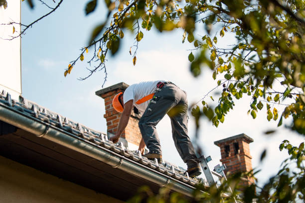 Best Cold Roofs  in Bexley, OH