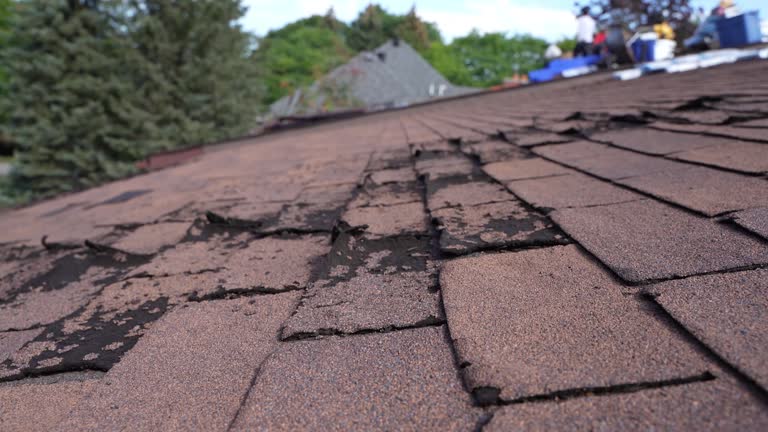 Best Skylight Installation and Repair  in Bexley, OH